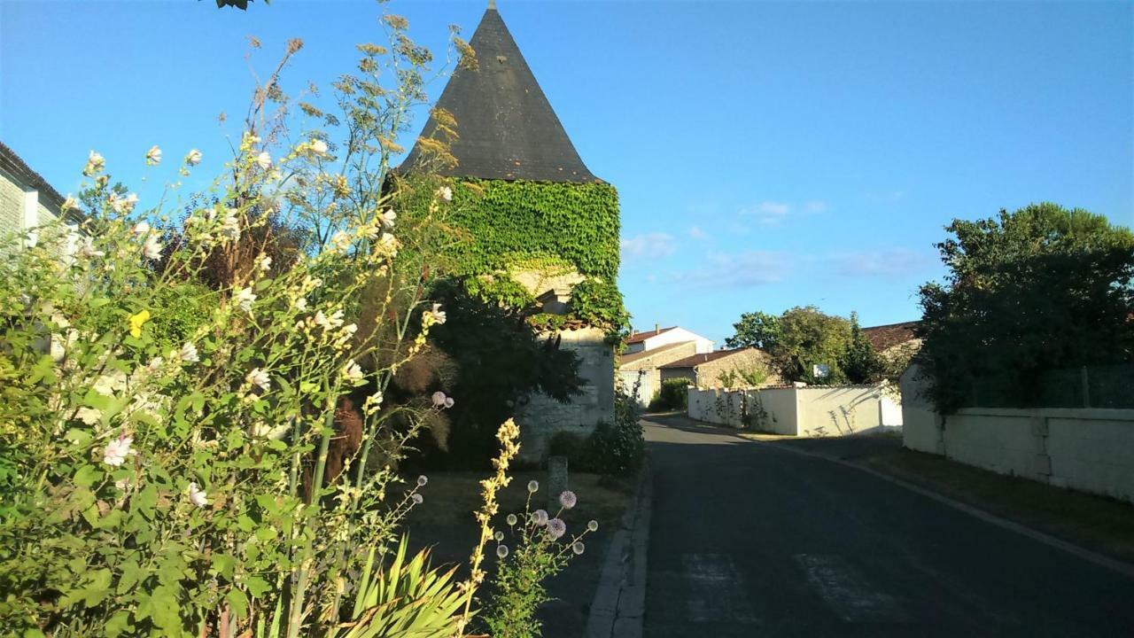 Les Gites Du Vigneron Et Cd'H Saint-Seurin-de-Palenne ภายนอก รูปภาพ